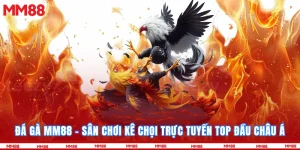 Đá gà MM88