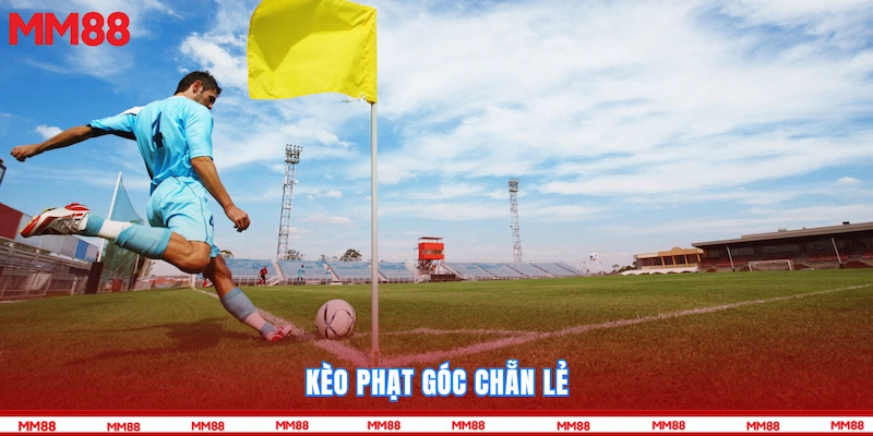 Kèo phạt góc chẵn lẻ